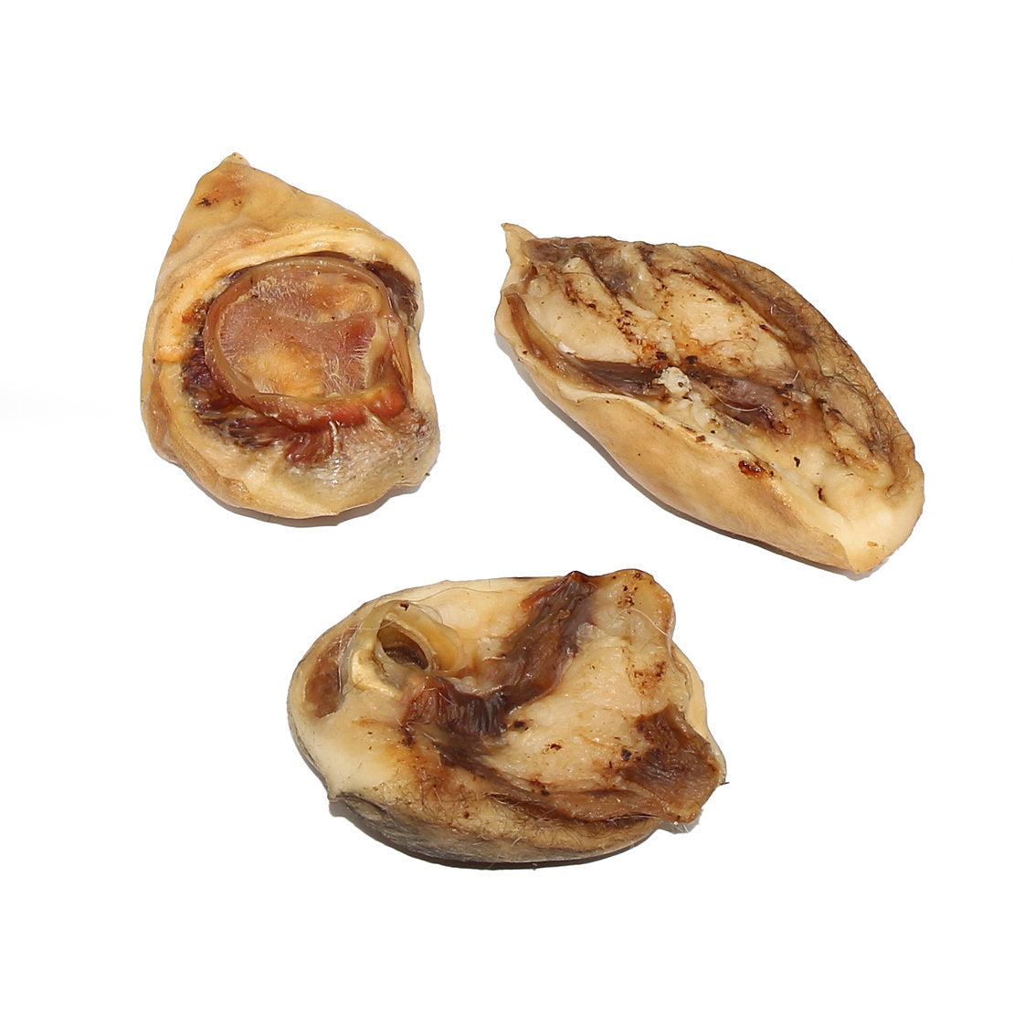 Kalbsohrmuschel 250g