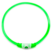 Leuchthalsband Grün